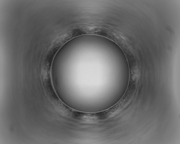 X0000110870515200906181205