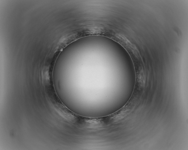 X0000110870516200906181205