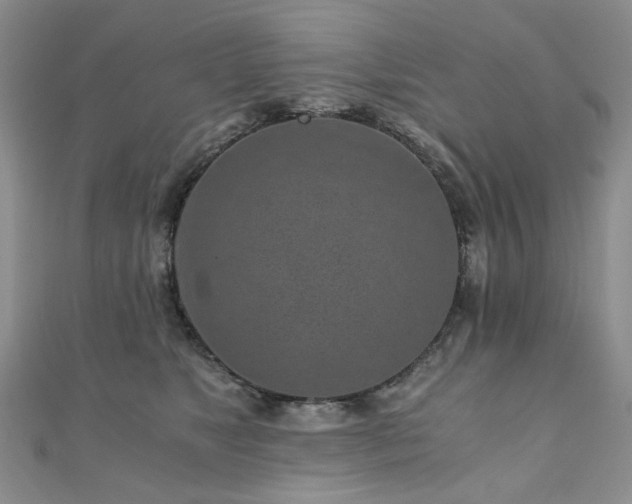 X0000110870517200906181205