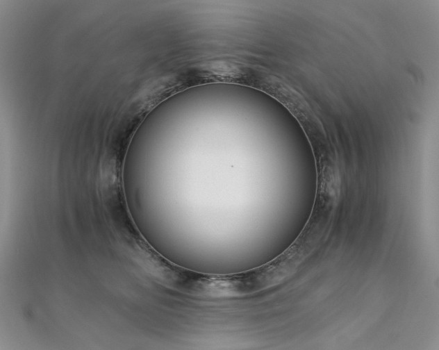 X0000110870518200906181205