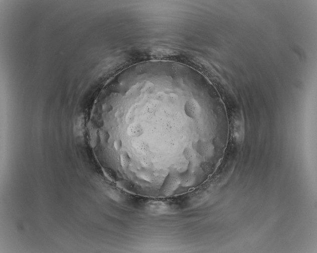 X0000110870519200906181205