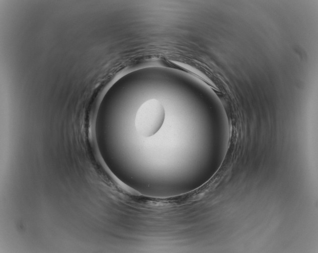 X0000110870520200906181205