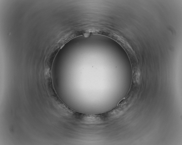 X0000110870521200906181205