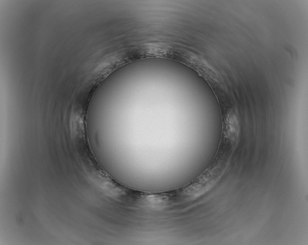 X0000110870522200906181205