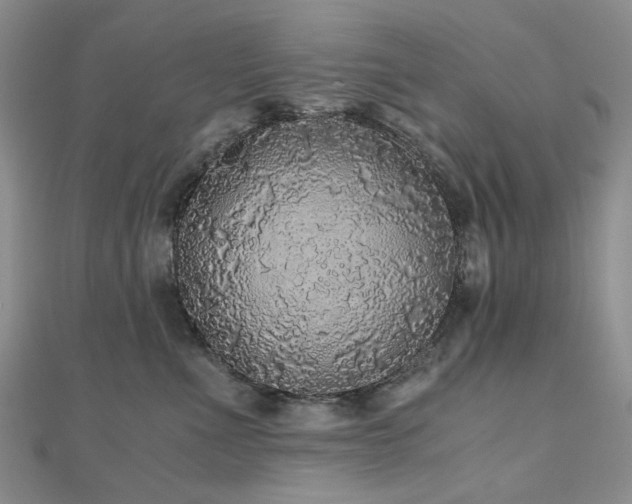 X0000110870523200906181205