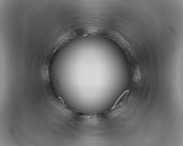 X0000110870524200906181205