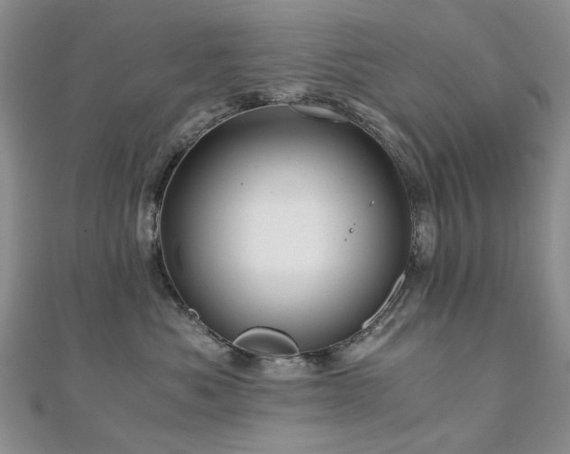 X0000110870525200906181205