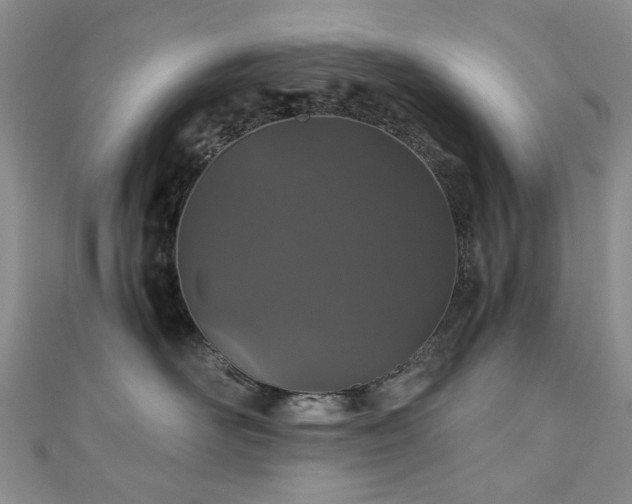 X0000110870526200906181205