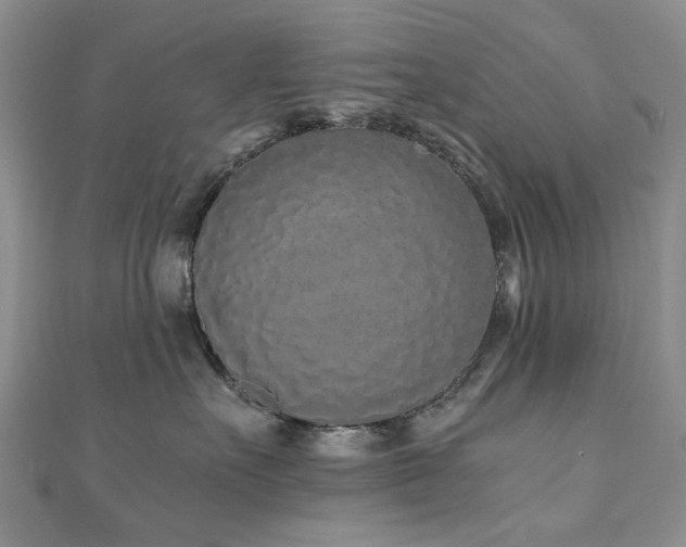 X0000110870527200906181205