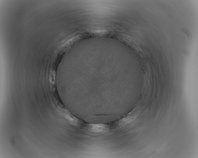 X0000110870528200906181205