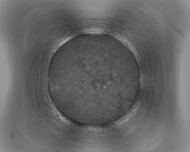 X0000110870529200906181204