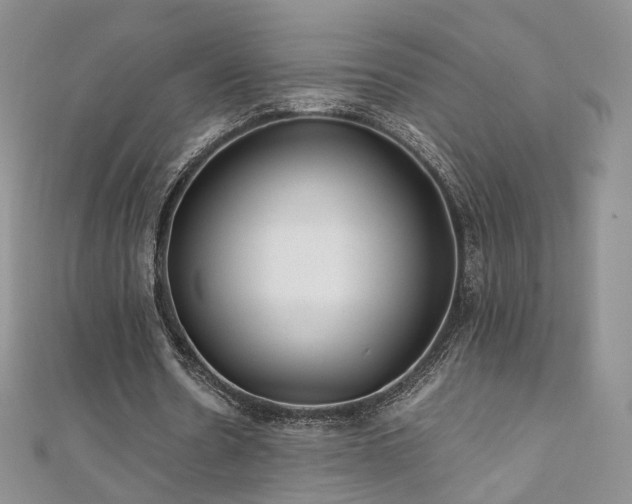 X0000110870530200906181204