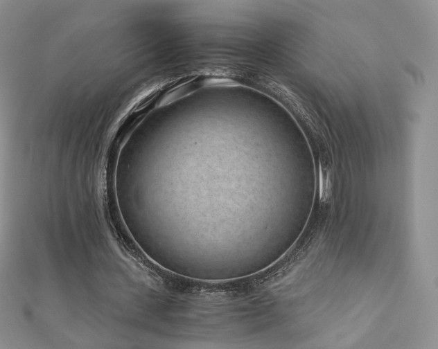 X0000110870531200906181204