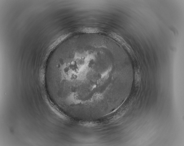 X0000110870533200906181204