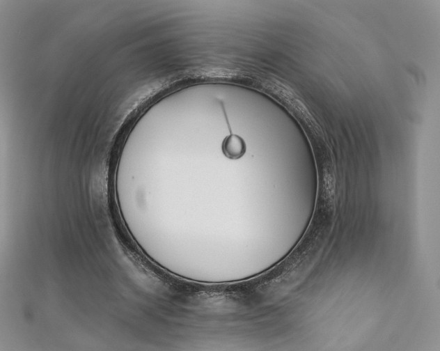 X0000110870534200906181204