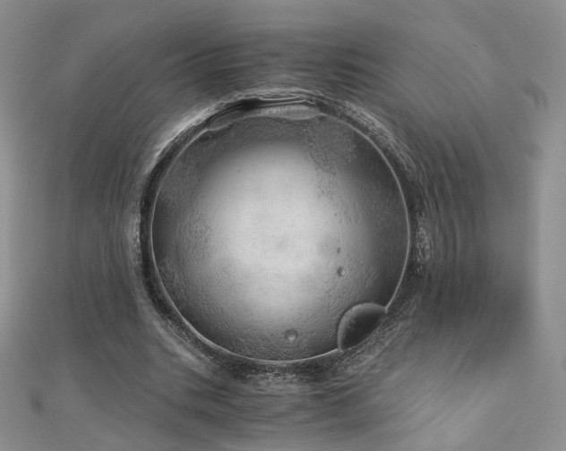 X0000110870535200906181204