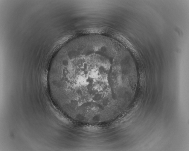 X0000110870537200906181204