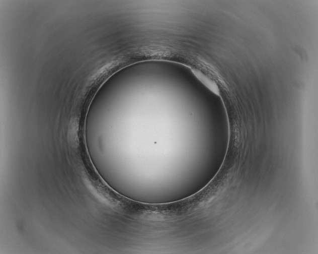 X0000110870538200906181204