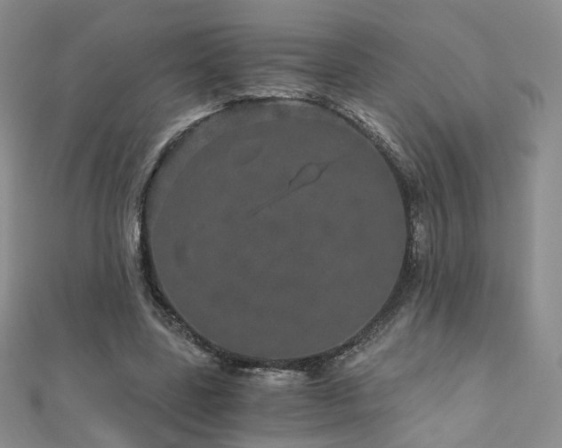 X0000110870539200906181204