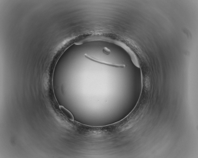 X0000110870540200906181204