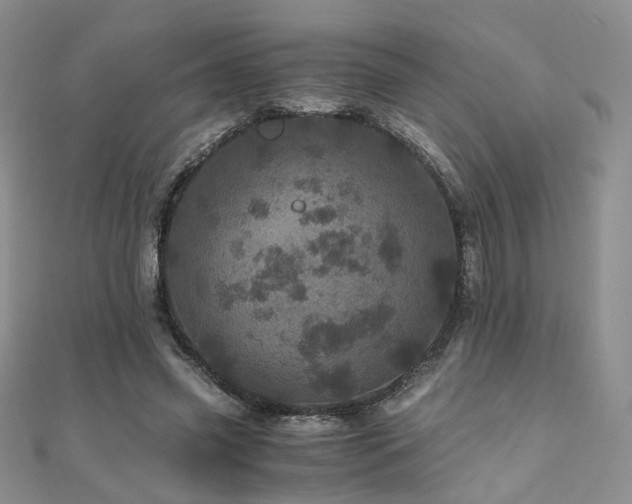 X0000110870541200906181204