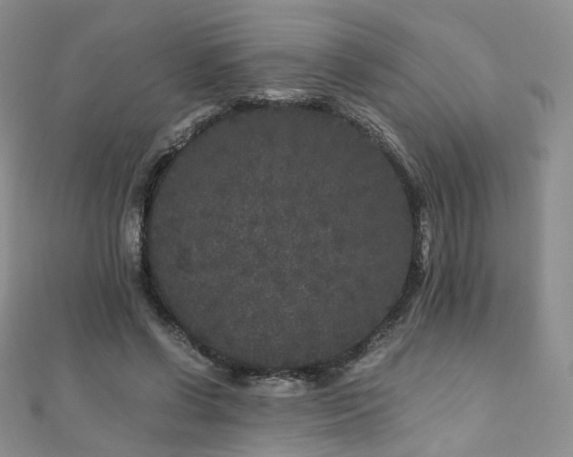 X0000110870542200906181204