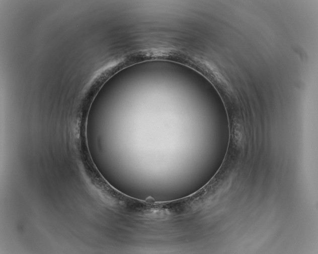 X0000110870543200906181204