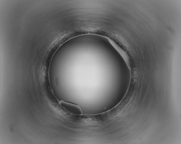 X0000110870544200906181204