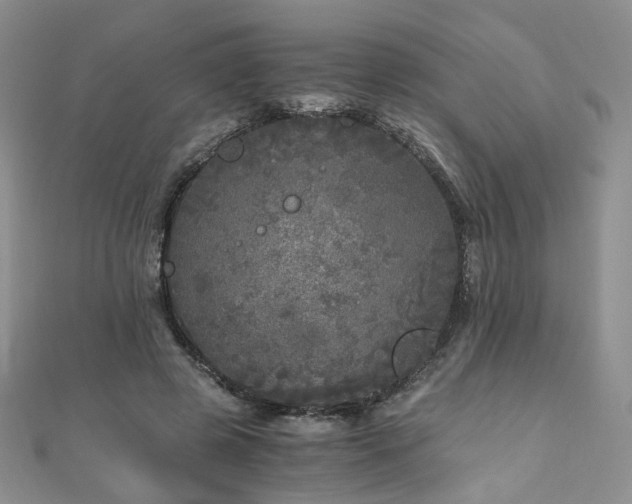 X0000110870545200906181204