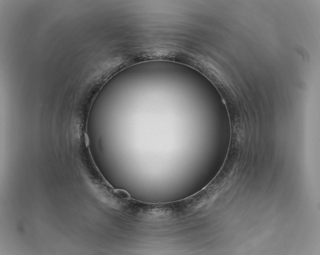 X0000110870546200906181204