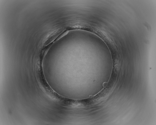 X0000110870547200906181204