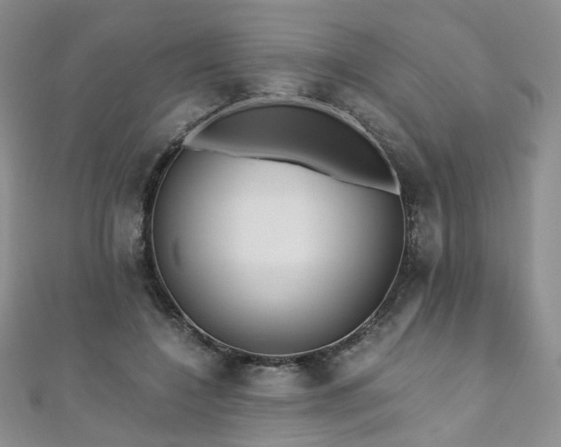 X0000110870548200906181204