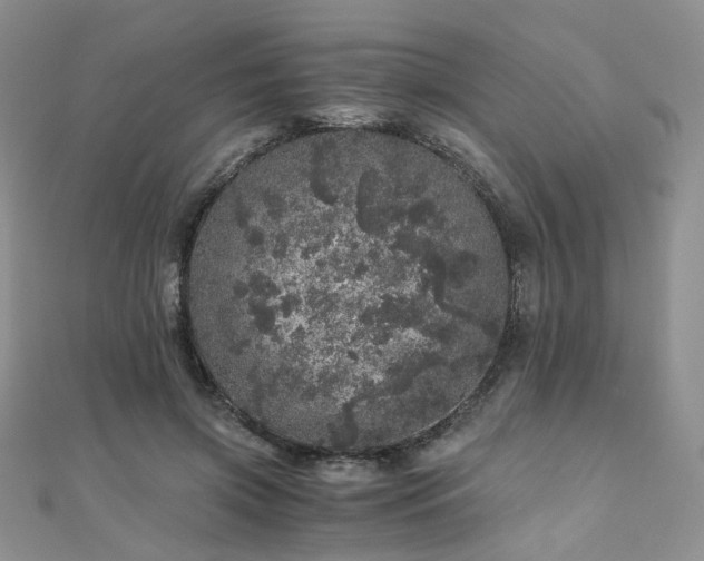 X0000110870549200906181204