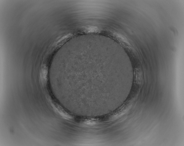 X0000110870550200906181204