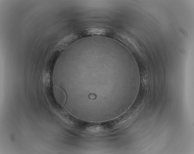 X0000110870551200906181204