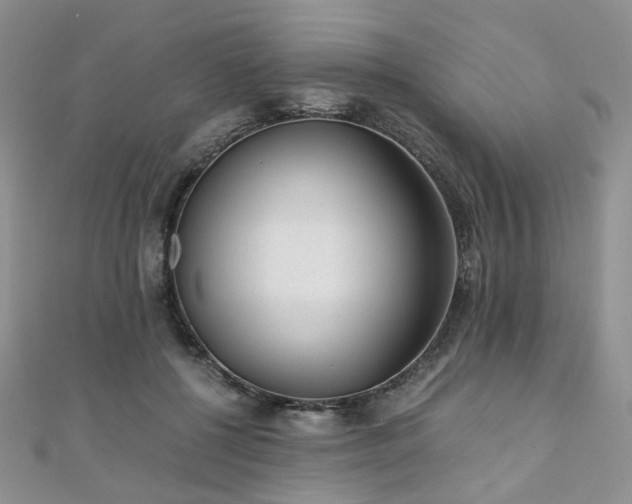 X0000110870552200906181204