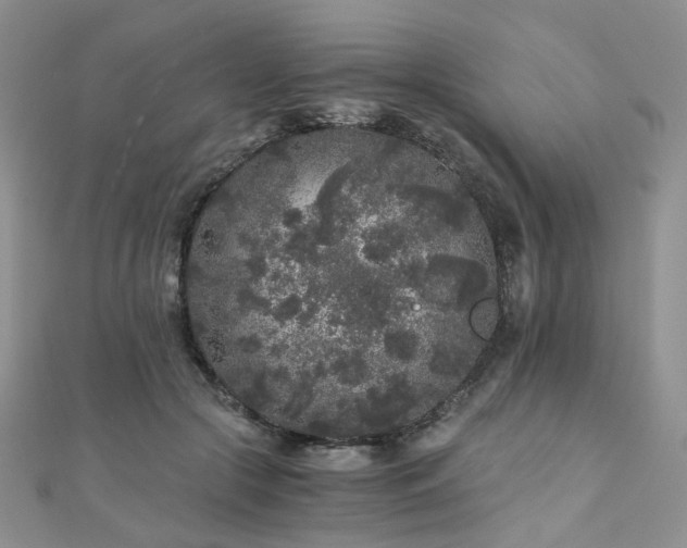 X0000110870553200906181204