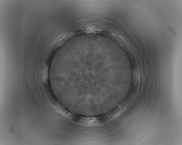 X0000110870554200906181204