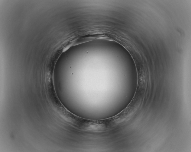 X0000110870555200906181204