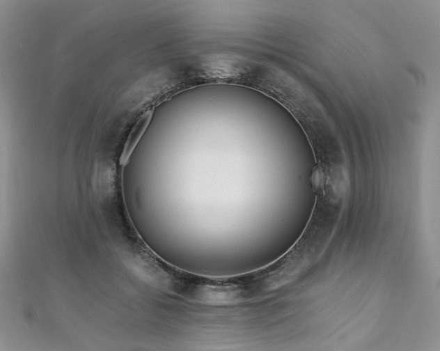 X0000110870556200906181204