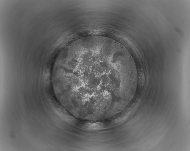 X0000110870557200906181204