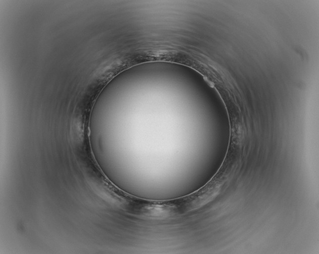 X0000110870558200906181204