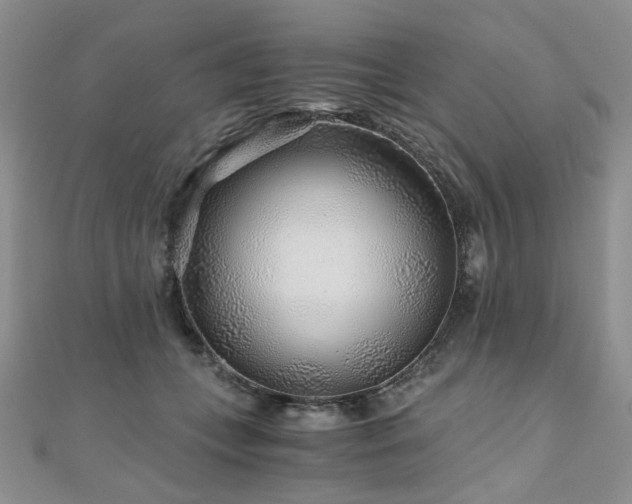 X0000110870559200906181204