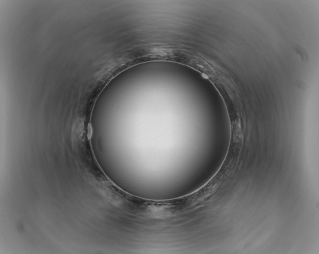 X0000110870560200906181204