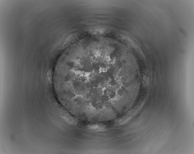 X0000110870561200906181204