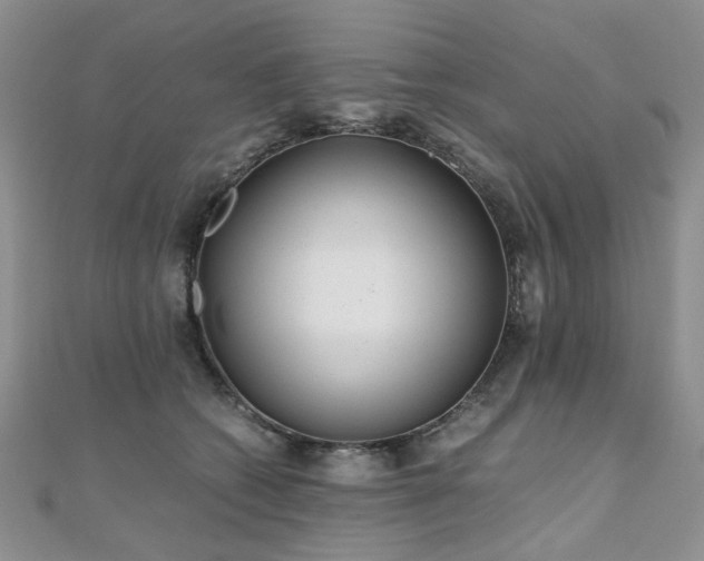 X0000110870562200906181204