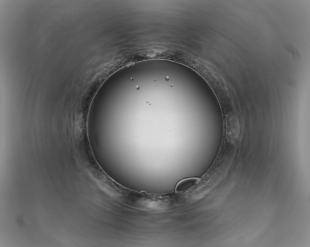 X0000110870563200906181204