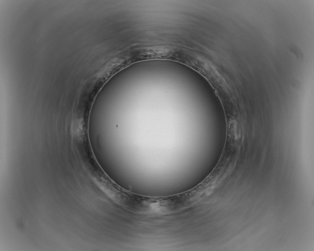 X0000110870564200906181204