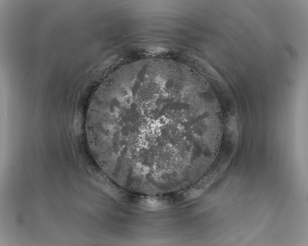 X0000110870565200906181204