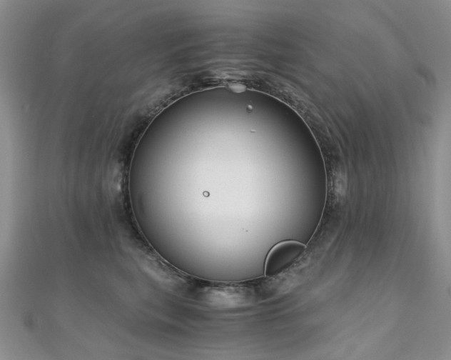 X0000110870567200906181204